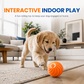 🐶50% OFF NOW! Smart Interactive Bouncing Ball‑Automatic Rolling Moving Dog Toy, USB Rechargeable Indoor Pet Entertainment Ball for Dogs