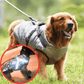 🐶Hot Sale 50% OFF🔥3 in 1 Winter Waterproof Warm Dog Jacket With Built-in Harness