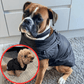 🐶Hot Sale 50% OFF🔥3 in 1 Winter Waterproof Warm Dog Jacket With Built-in Harness