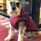 🐶Hot Sale 50% OFF🔥3 in 1 Winter Waterproof Warm Dog Jacket With Built-in Harness