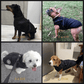 🐶Hot Sale 50% OFF🔥3 in 1 Winter Waterproof Warm Dog Jacket With Built-in Harness