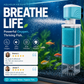 🥳 2026 Best Seller 🥳 Over 50,000 Sold! ⭐🏠 50% Off!💧 Automatic Aquarium Filter System