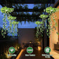 ⏳Time-Limited Special⏰ Solar Ivy Lights with Artificial Leaves – Waterproof, 8 Lighting Modes & Flexible – Perfect for Gardens, Balconies & Wall Decoration 🌿💡✨