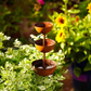 ☔️3-Tier Rustic Metal Bird Feeder & Drinker Stake