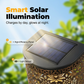 Solar Powered Hollow-Out Wall Light