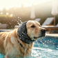 ⏳Limited-time 50% off⏰Waterproof Dog Calming Hoodie🐕🧢