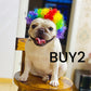 Festive Dog Wig