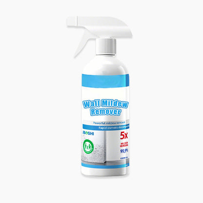 Mold & Mildew Remover Spray