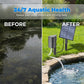 🐟 50% Off – Solar Pond Aerator, Clean Water & Healthy Fish