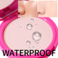🥳2026 HOT SALE🥳💞Waterproof Oil Control Face Pressed Powder
